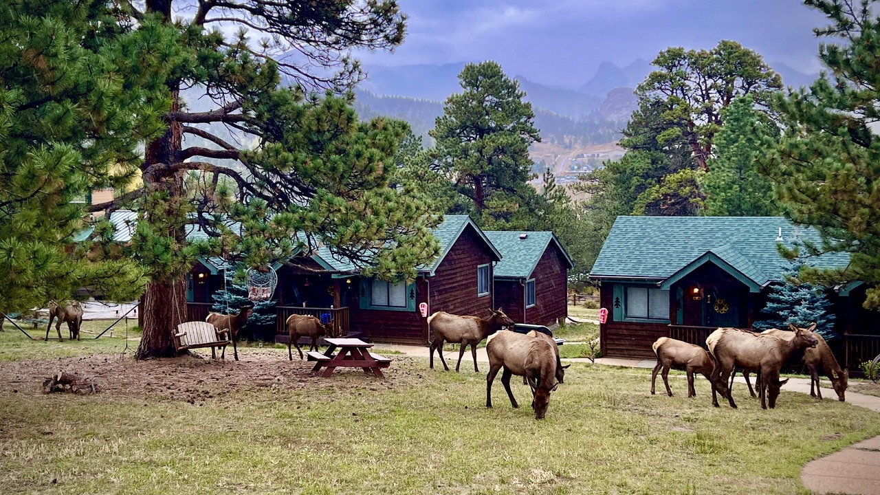 Photo of Outdoor in Estes Park