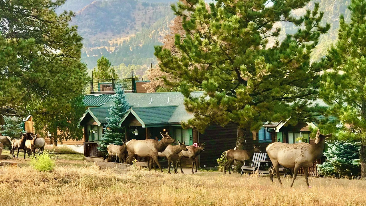 Photo of Outdoor in Estes Park