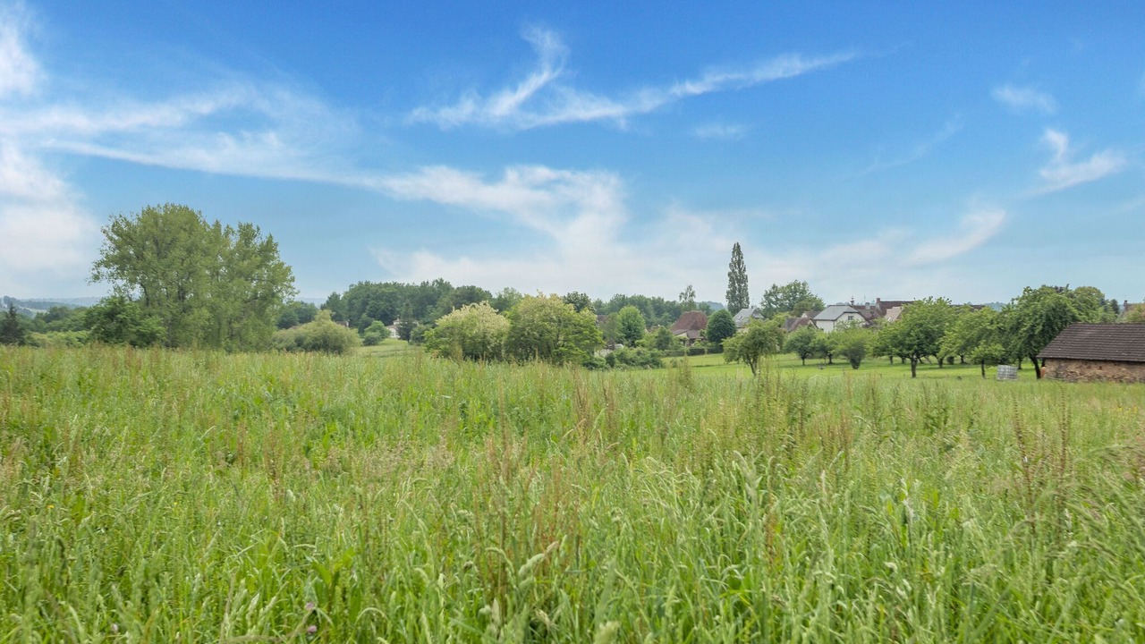 Photo of Others in Sainte-Trie