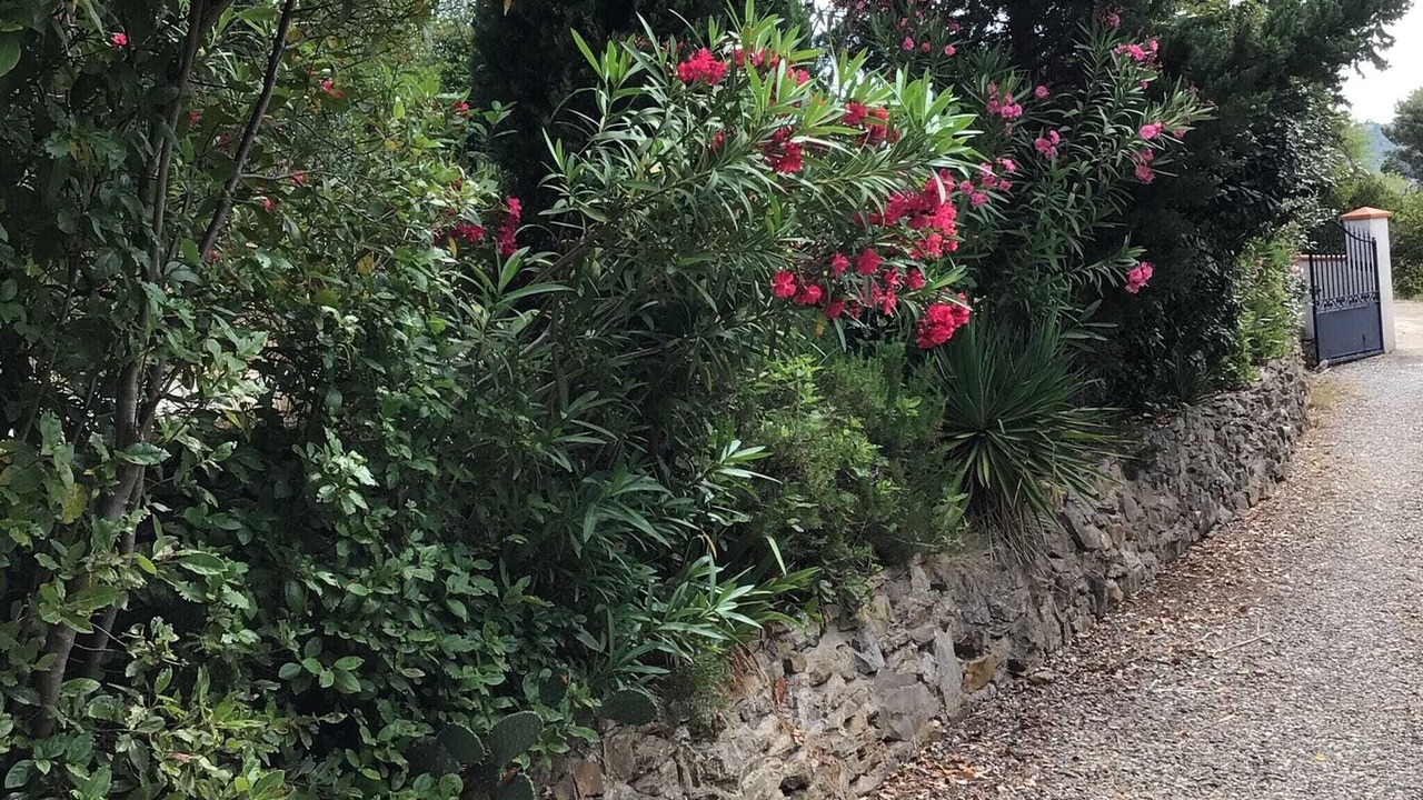 Photo of Outdoor in Montbrun-des-Corbieres