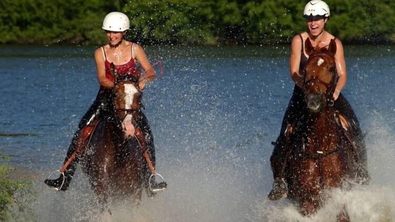 Photo of Outdoor in Eppe-Sauvage