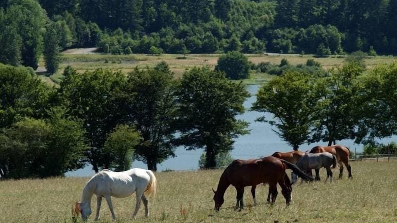 Photo of Outdoor in Eppe-Sauvage