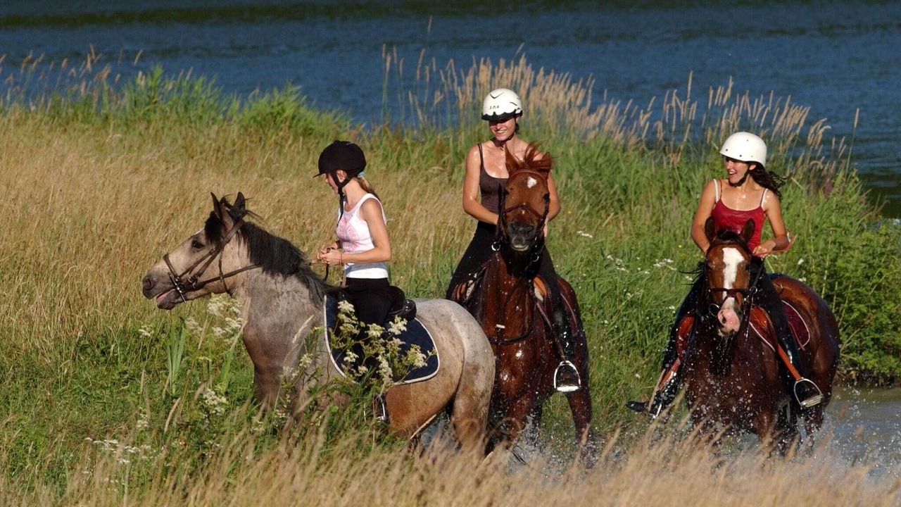 Photo of Others in Eppe-Sauvage