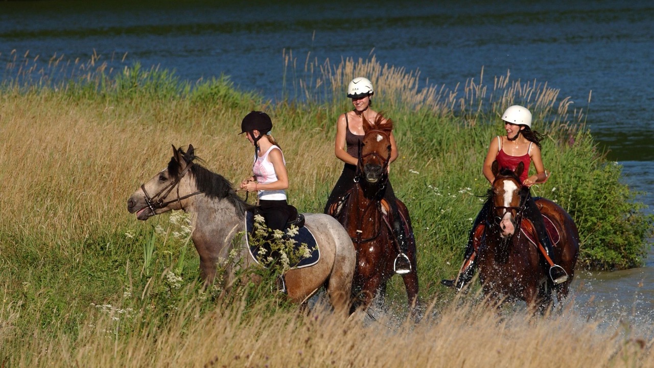 Photo of Outdoor in Eppe-Sauvage