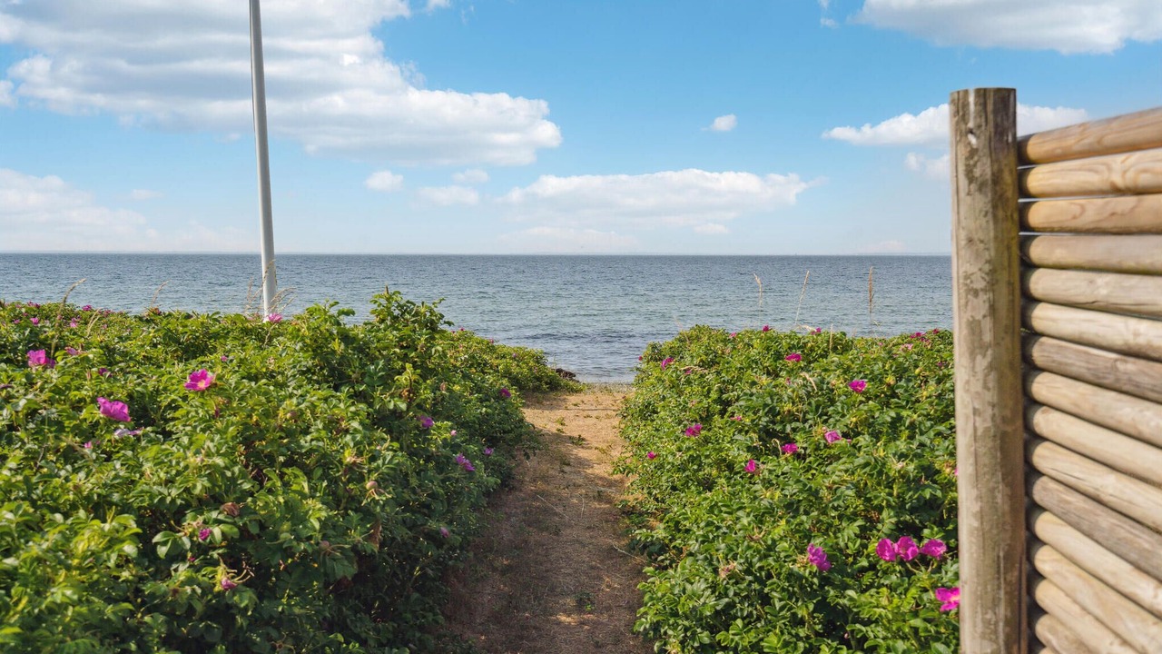 Photo of Outdoor in Juelsminde