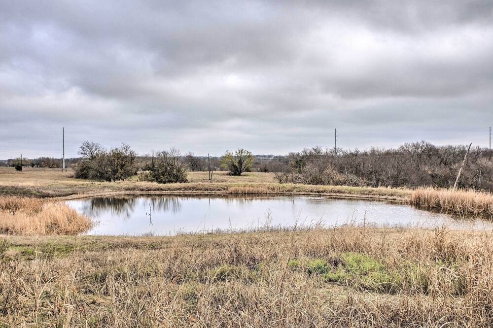 Photo of Others in Farmersville