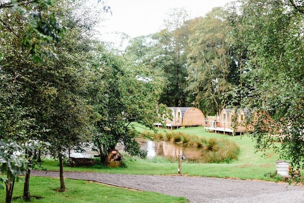 Photo of Others in North Charlton