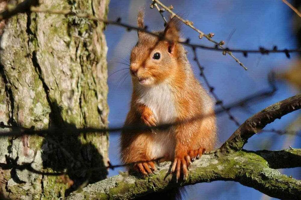 Photo of Others in Penrith