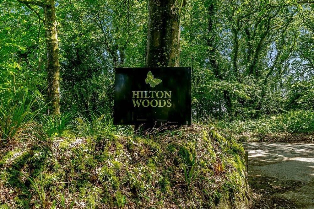 Photo of Others in Widemouth Bay