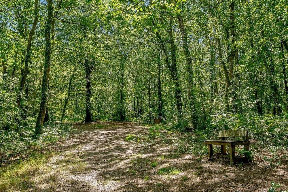Photo of Others in Widemouth Bay