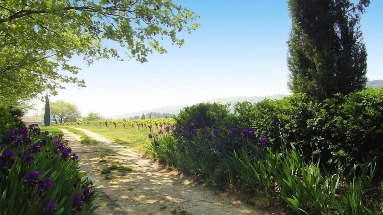 Photo of Outdoor in Pont-Saint-Esprit
