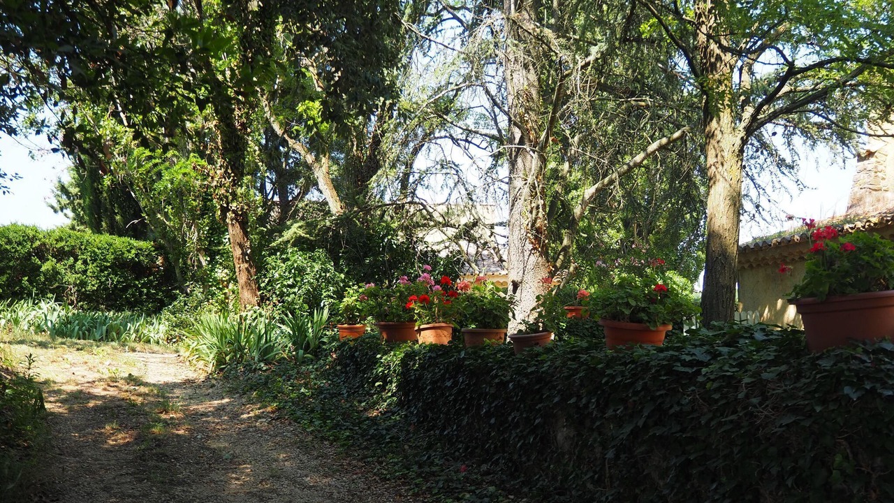 Photo of Outdoor in Pont-Saint-Esprit