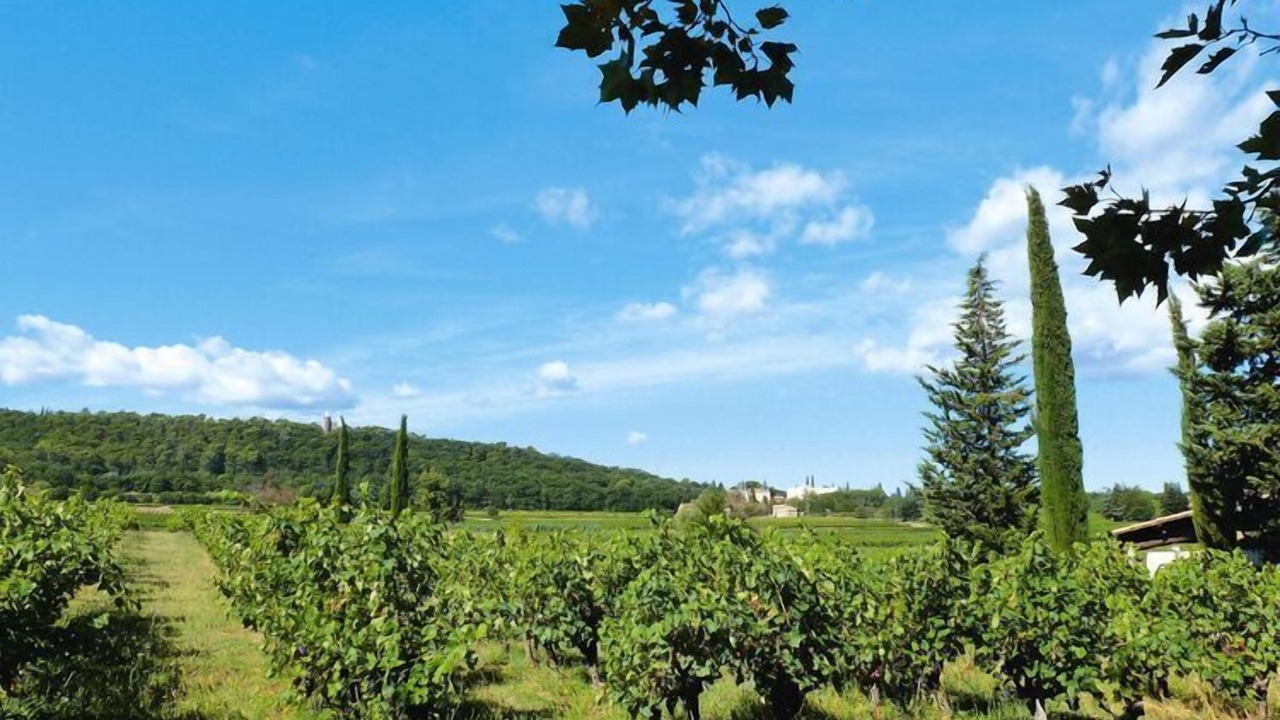 Photo of Outdoor in Pont-Saint-Esprit