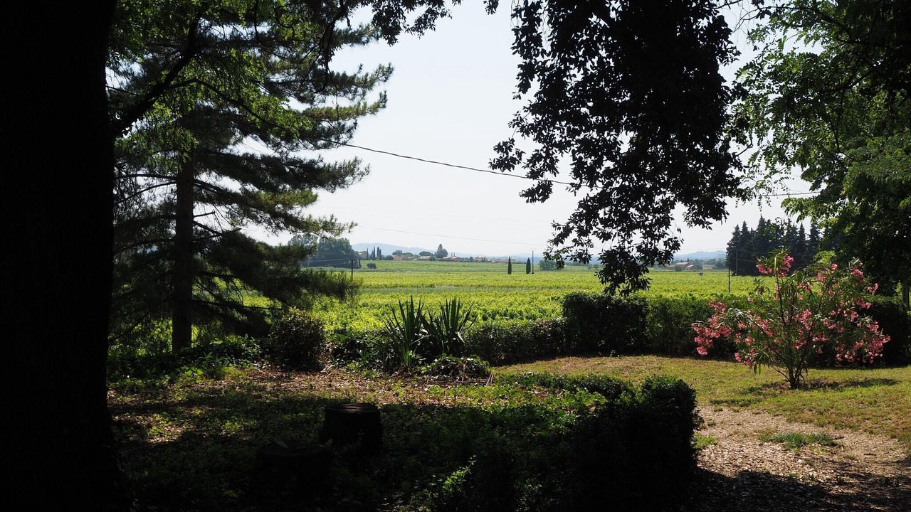 Photo of Outdoor in Pont-Saint-Esprit