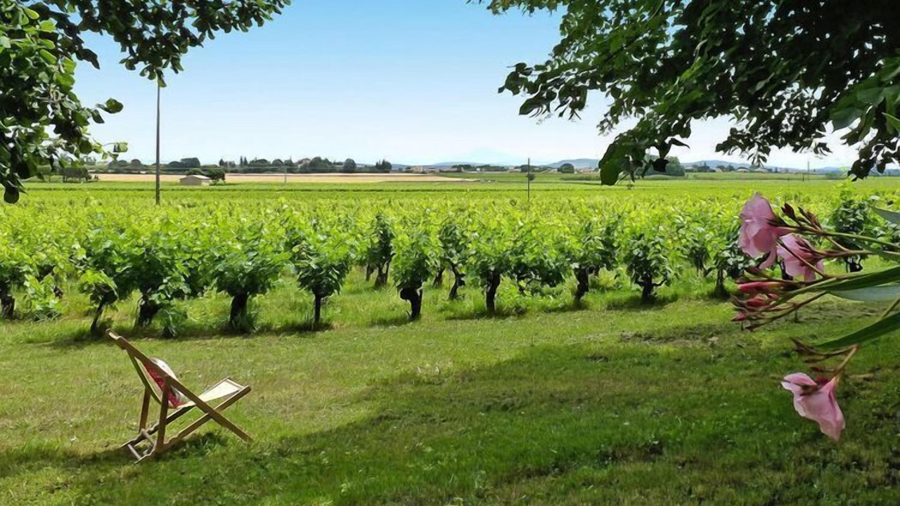 Photo of Outdoor in Pont-Saint-Esprit