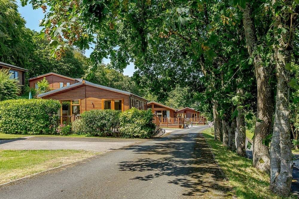 Photo of Others in Widemouth Bay