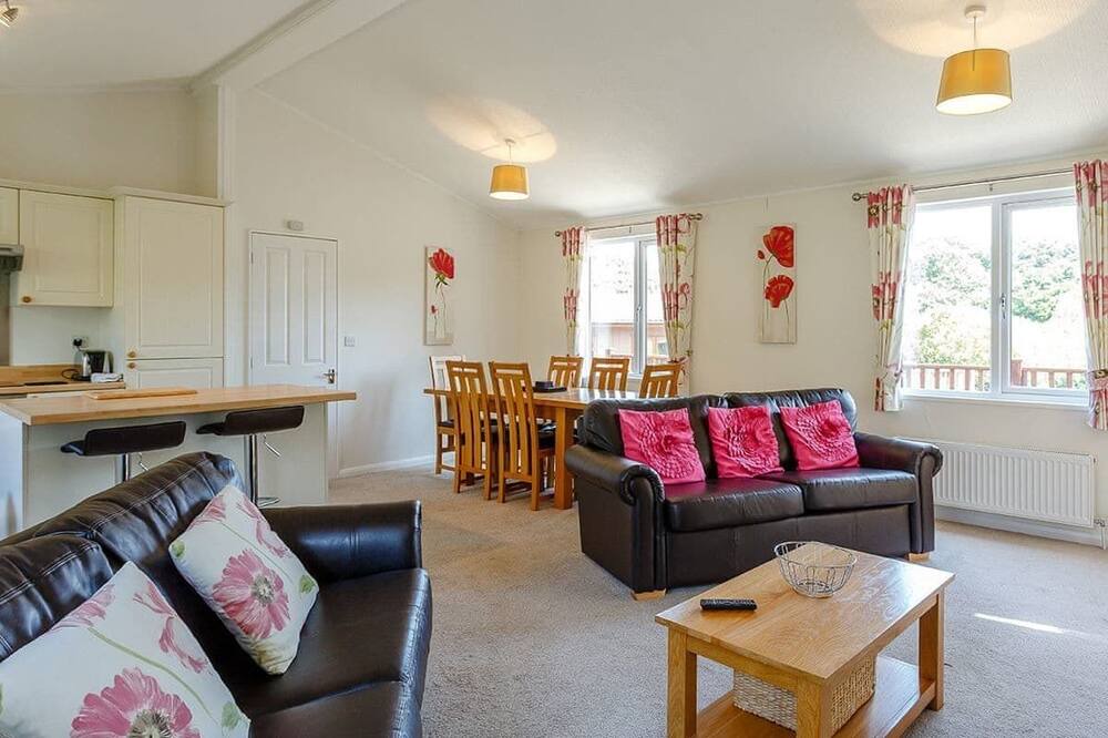 Photo of Others in Widemouth Bay