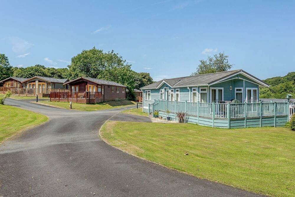 Photo of Others in Widemouth Bay