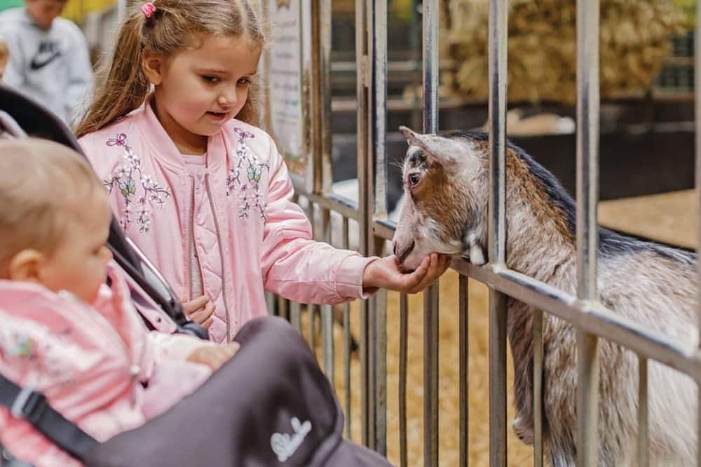 Photo of Others in Woodbury