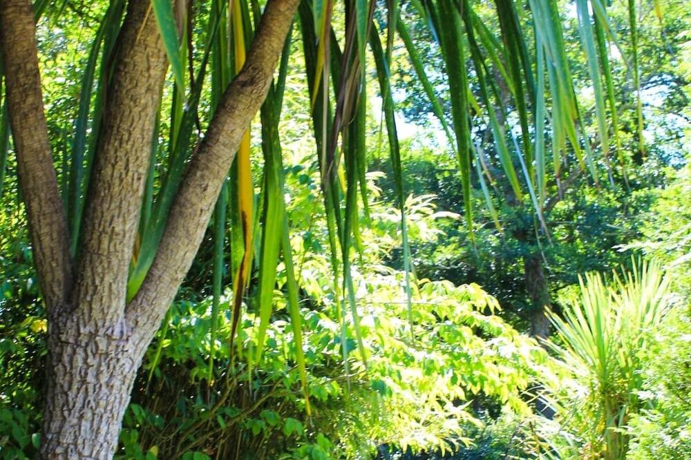 Photo of Others in Saltash