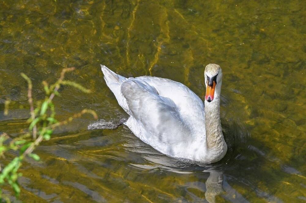 Photo of Others in Saltash