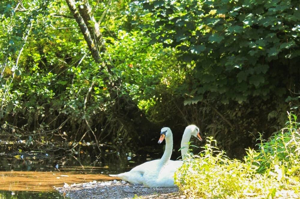 Photo of Others in Saltash