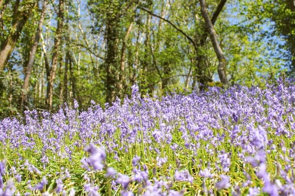 Photo of Others in Saltash