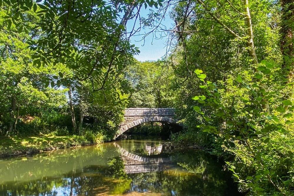 Photo of Others in Saltash