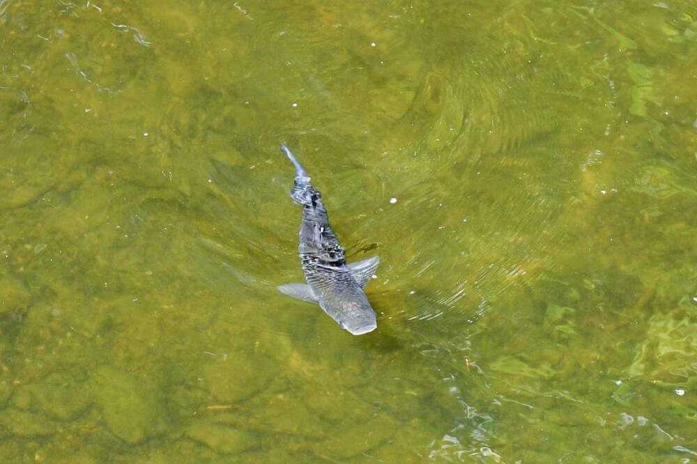 Photo of Others in Saltash