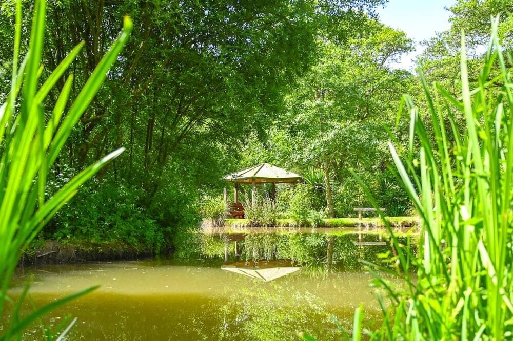 Photo of Others in Saltash