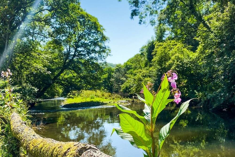 Photo of Others in Saltash