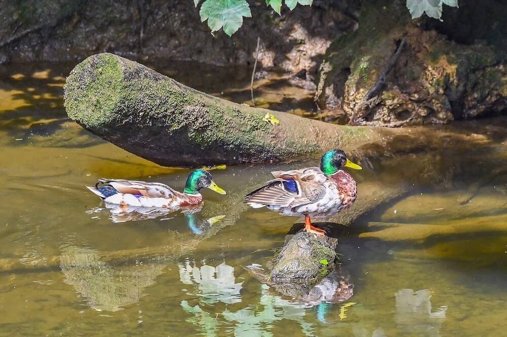 Photo of Others in Saltash