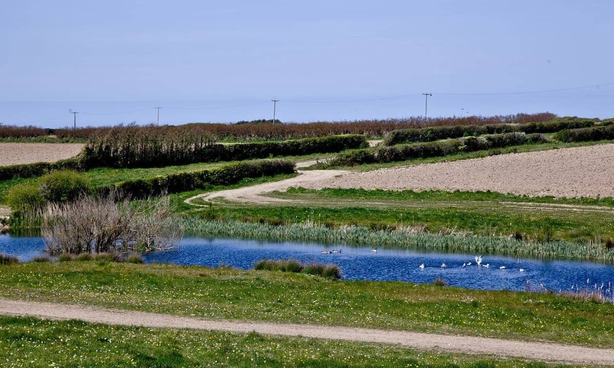 Photo of Others in St Merryn