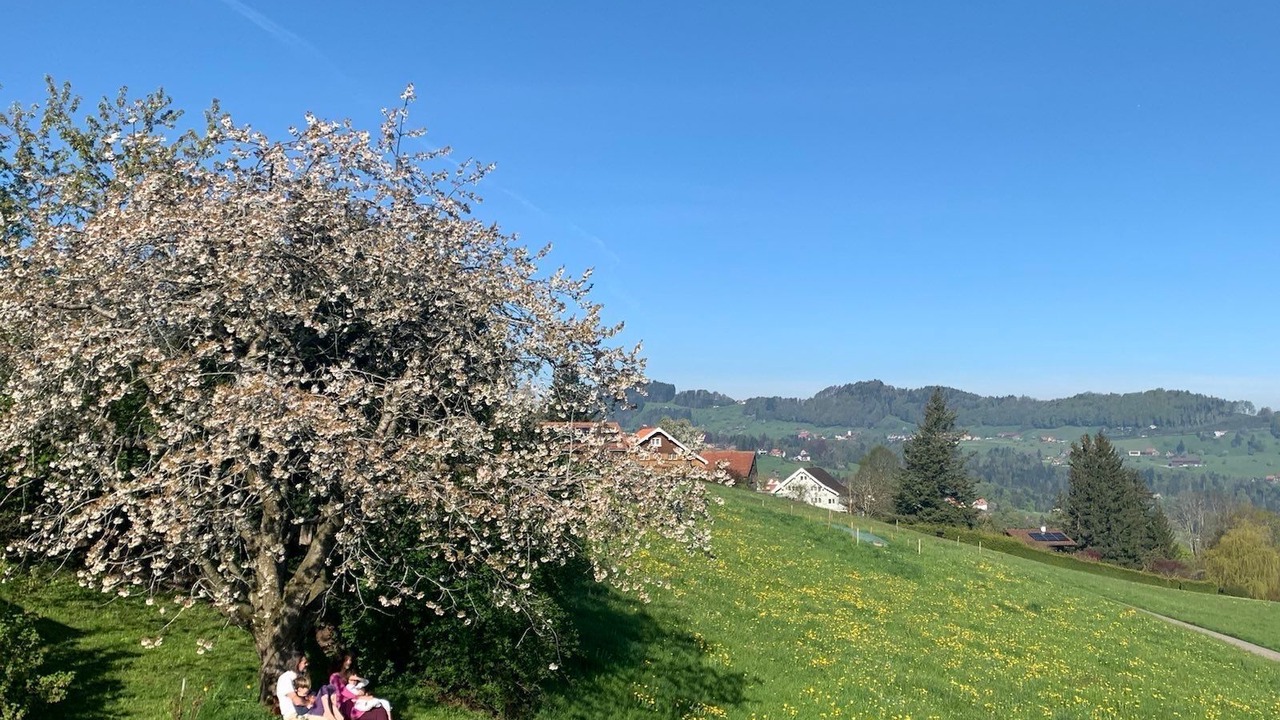 Photo of Others in Wolfhalden
