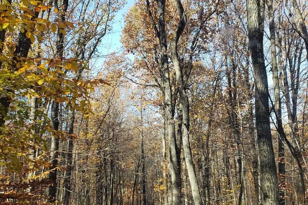 Photo of Others in North Coventry Township