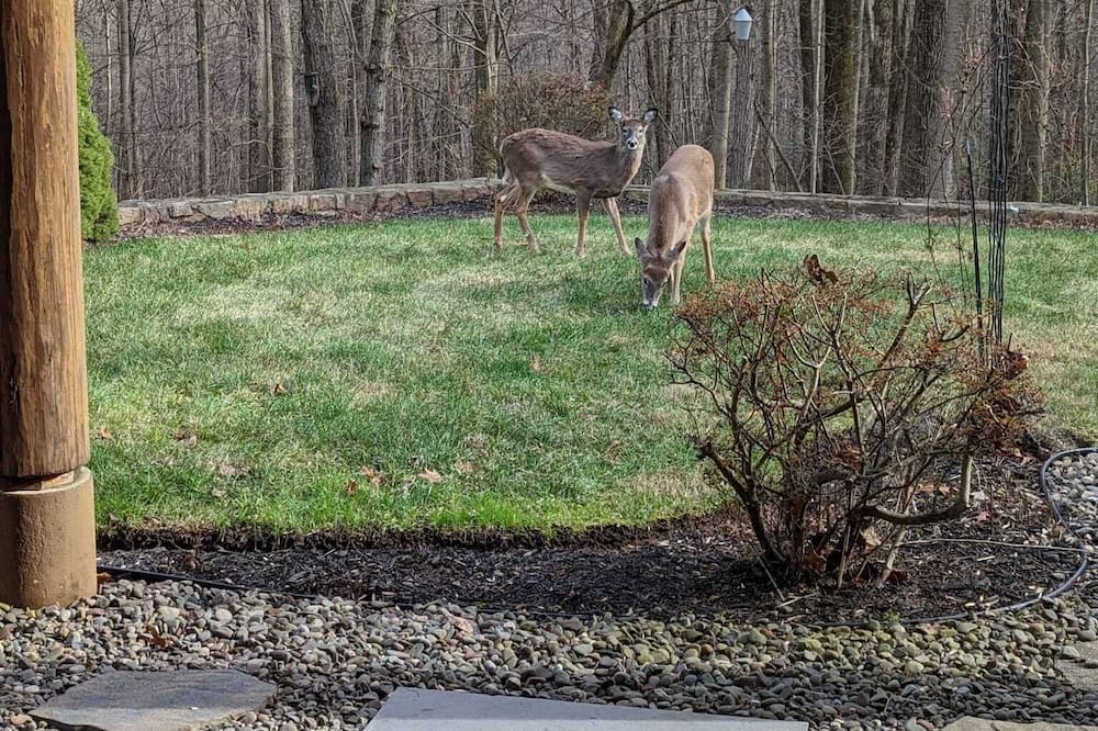 Photo of Others in North Coventry Township