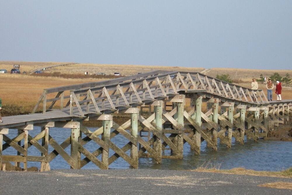 Photo of Outdoor in Sandwich