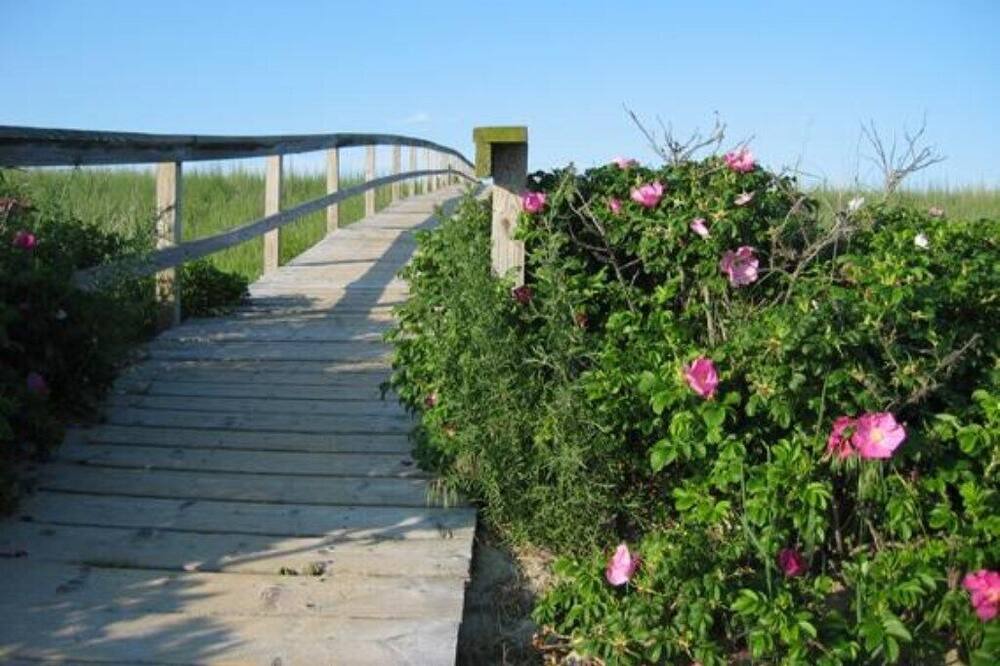 Photo of Outdoor in Sandwich