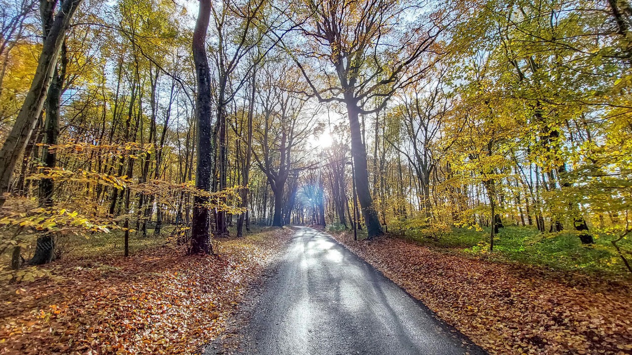 Photo of Outdoor in Saigneville