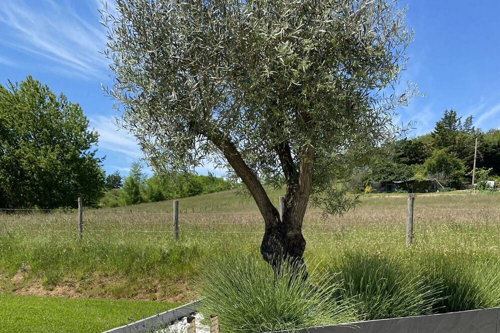 Photo of Outdoor in Brignac-la-Plaine