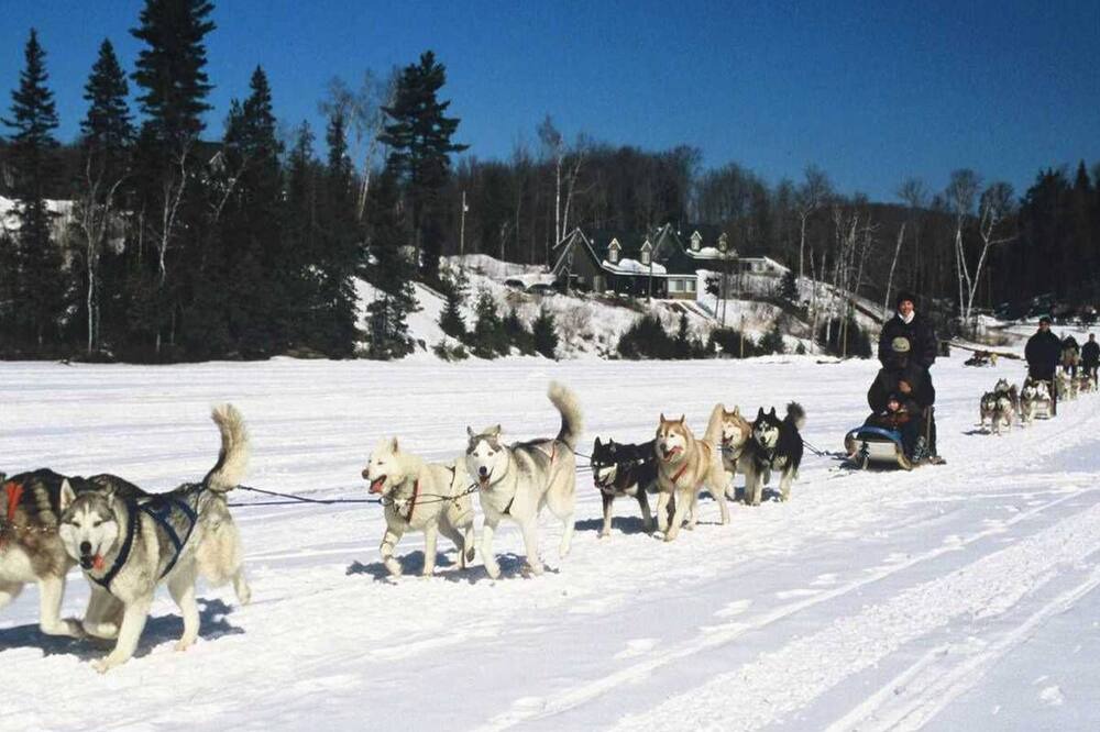 Photo of Others in Saint-Didace