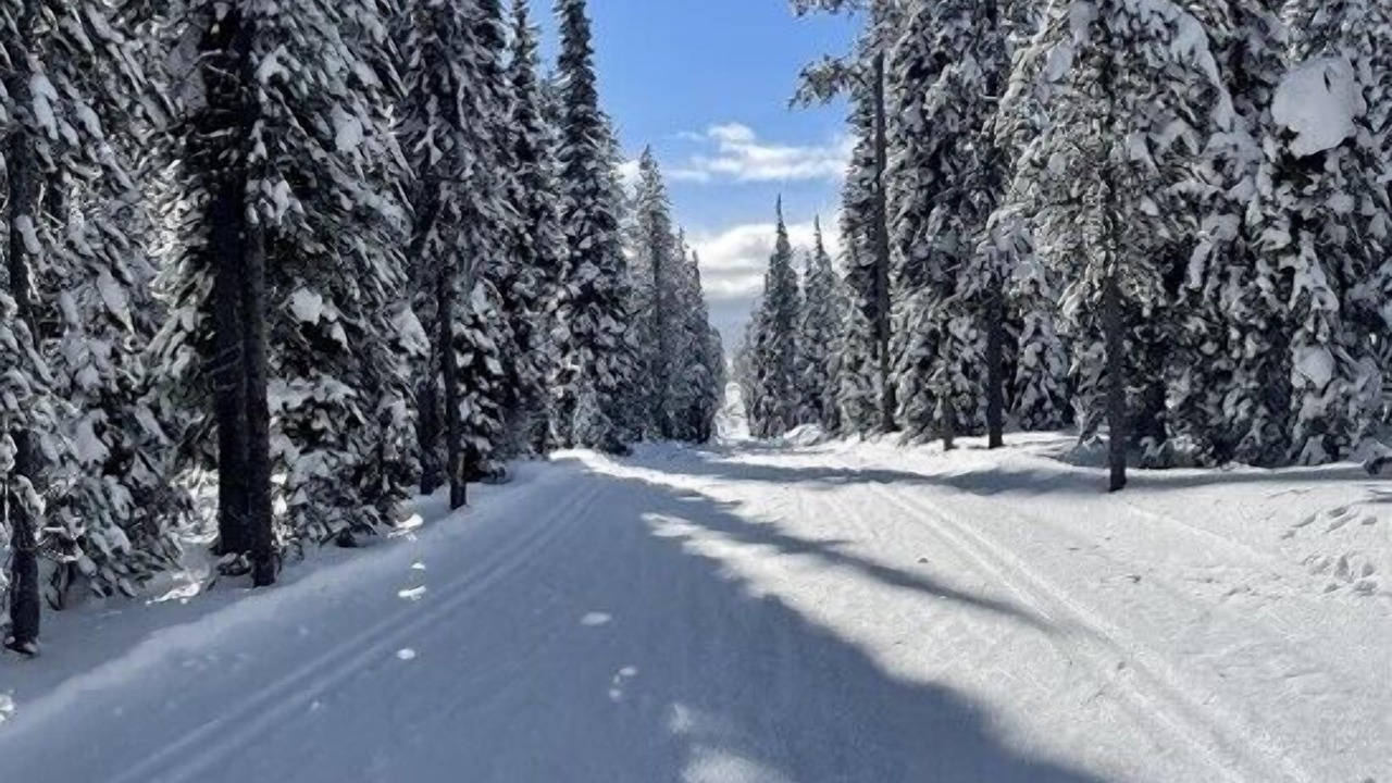 Photo of Others in Darby