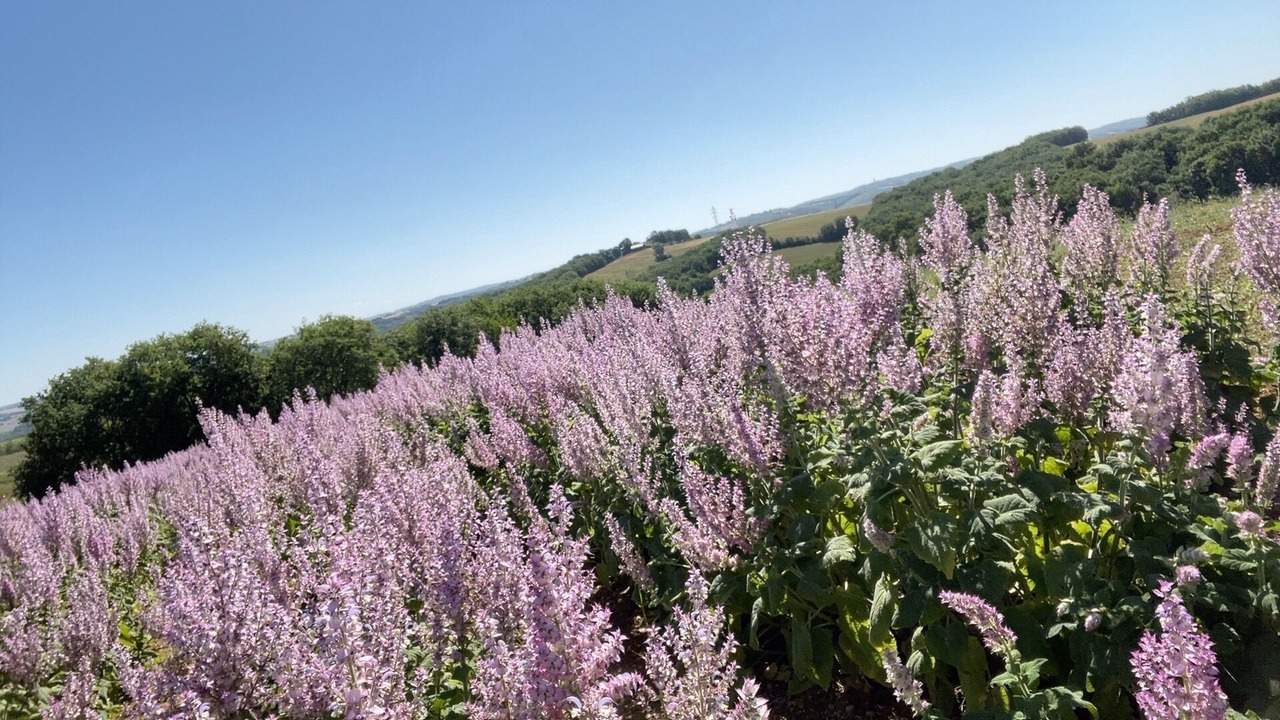 Photo of Outdoor in Biran