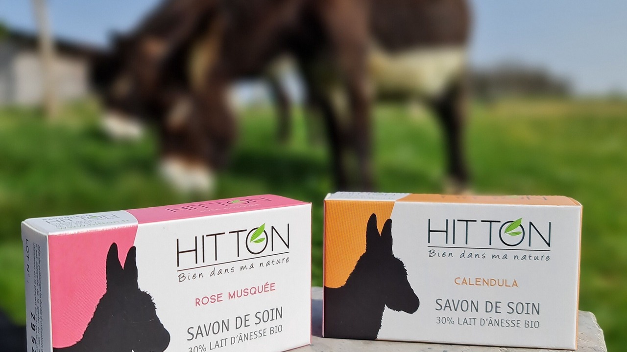 Photo of Outdoor in Biran