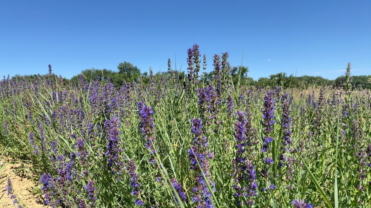 Photo of Outdoor in Biran