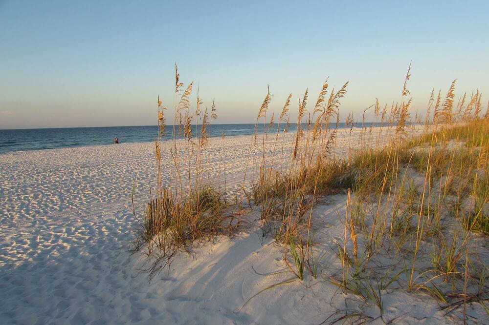 Photo of Others in Pensacola Beach
