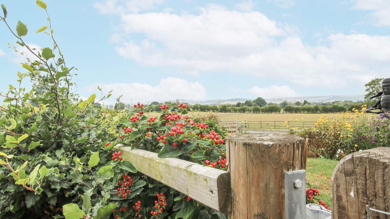 Photo of Others in Bishops Castle