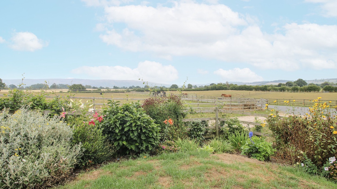 Photo of Others in Bishops Castle