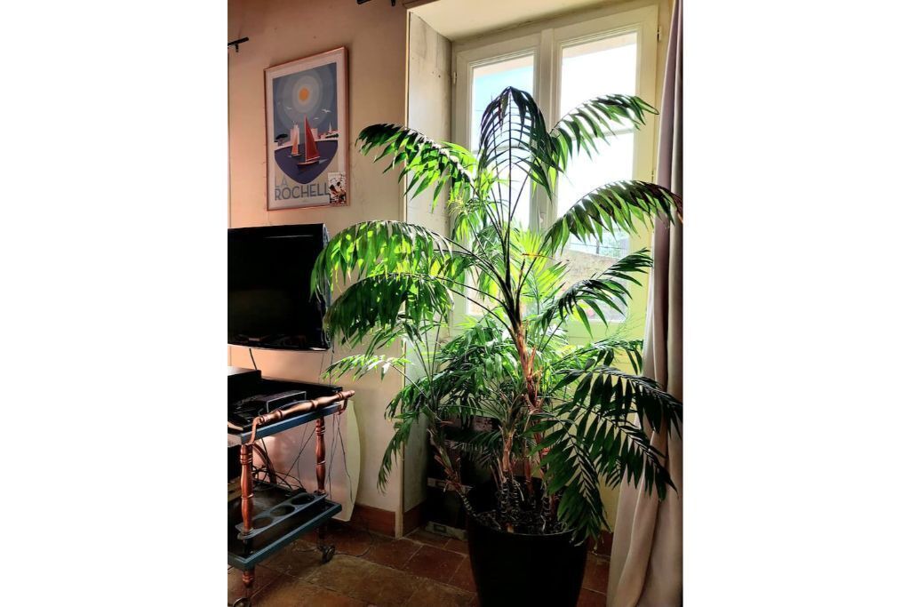 Photo of Others in Saint-Leger-de-Montbrillais