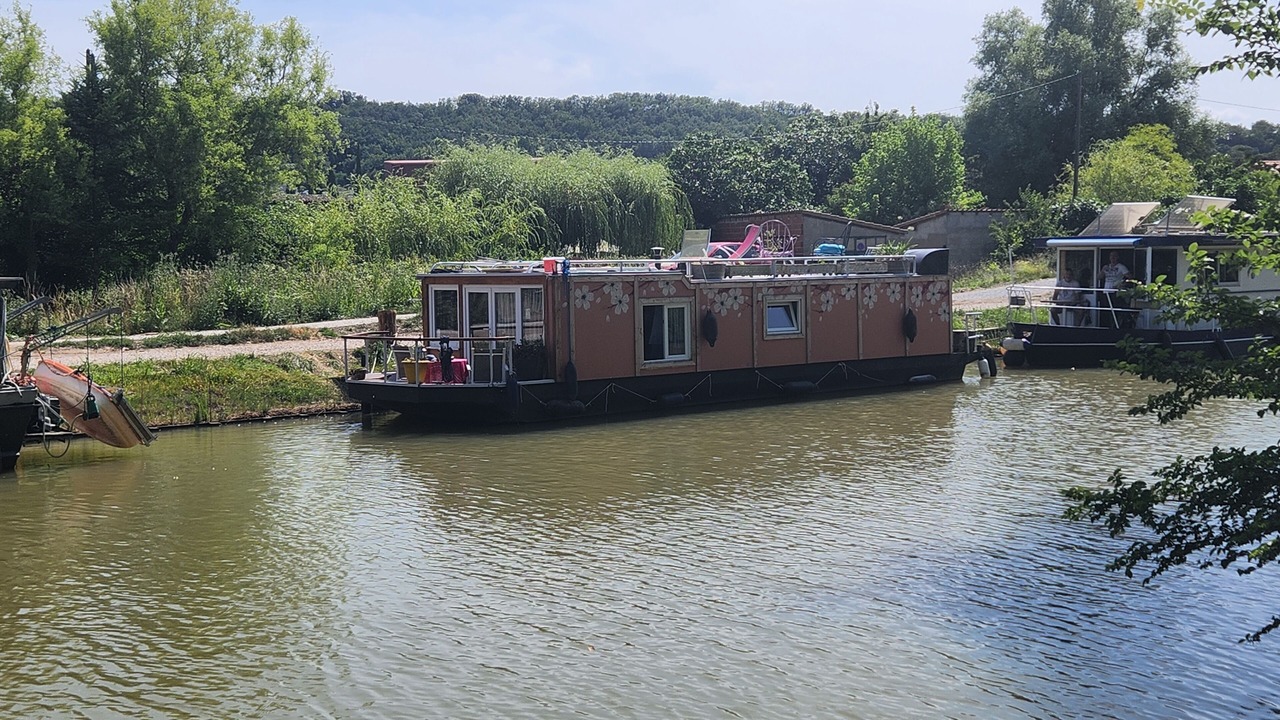 Photo of Others in Labastide-d'Anjou